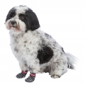 Bild 3 von Trixie Hundesocken - Grau  / (Variante) M-L