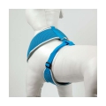 Bild 4 von Pet-Star Softgeschirr / Netzgeschirr - Blau  / (Variante) L