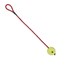 Bild 1 von Trixie Tennisball am Seil - 6 cm / 50 cm